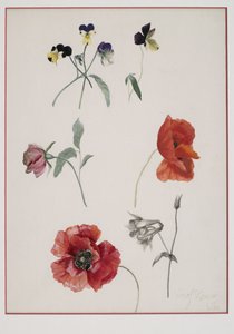 Flowers by Josef Lauer